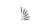 Decent Henna Cone (Black Packaging) – Best Seller on Amazon